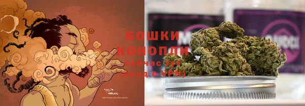 соль ск Дмитровск