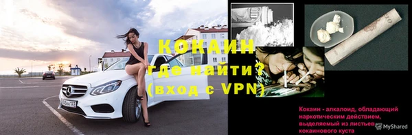 соль ск Дмитровск