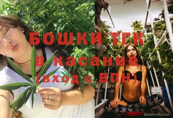 Альфа ПВП Дмитров